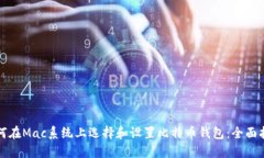 如何在Mac系统上选择和设