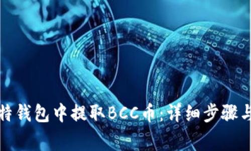如何在比特钱包中提取BCC币：详细步骤与注意事项