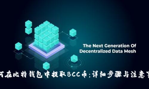 如何在比特钱包中提取BCC币：详细步骤与注意事项