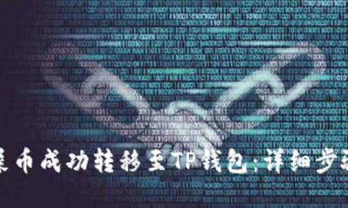如何将屎币成功转移至TP钱包：详细步骤与技巧