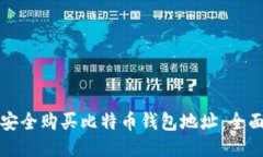 如何安全购买比特币钱包