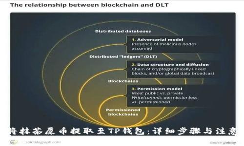 如何将抹茶屎币提取至TP钱包：详细步骤与注意事项