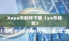 如何安全管理10万USDT冷钱