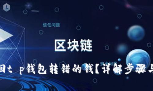 : 如何找回t p钱包转错的钱？详解步骤与注意事项