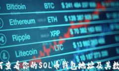 如何查看你的SOL币钱包地