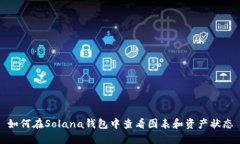 如何在Solana钱包中查看图