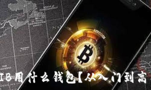  
最全指南：SHIB用什么钱包？从入门到高手的选择解析