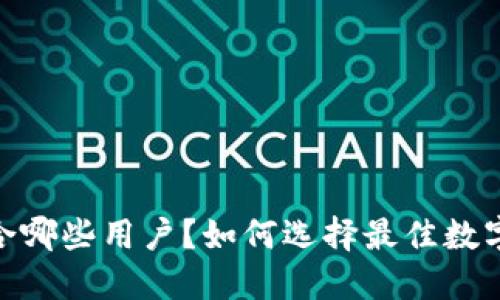 TP钱包：适合哪些用户？如何选择最佳数字资产钱包？