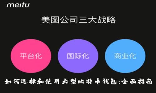 如何选择和使用大型比特币钱包：全面指南
