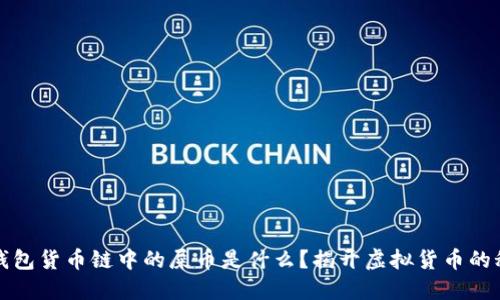 TP钱包货币链中的屎币是什么？揭开虚拟货币的秘密