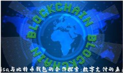 Visa与比特币钱包的合作探