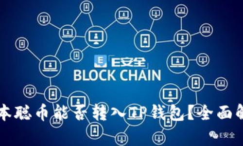 中本聪币能否转入TP钱包？全面解析