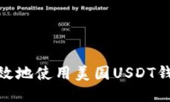如何安全高效地使用美国