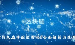 USDT钱包在中国能用吗？全