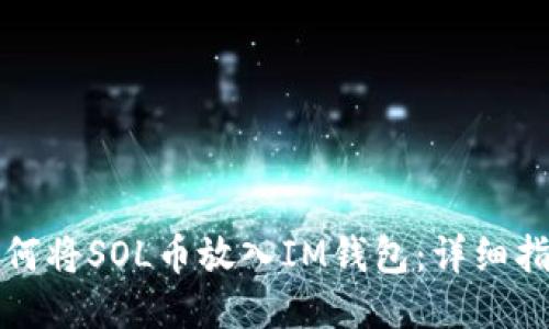 如何将SOL币放入IM钱包：详细指南