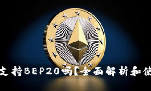 TP钱包支持BEP20吗？全面解析和使用指南