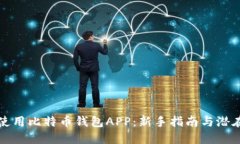 如何高效使用比特币钱包