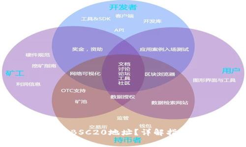 如何找到TP钱包的BSC20地址？详解指南与常见问题解答