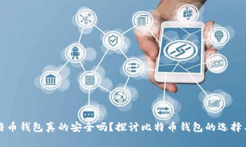 好比特币钱包真的安全吗？探讨比特币钱包的选择与使用