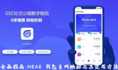 全面指南：NEAR 钱包主网地址及其使用方法