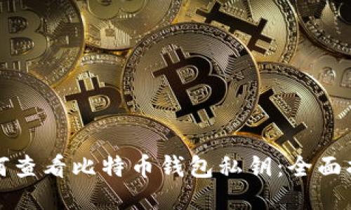 如何查看比特币钱包私钥：全面指南