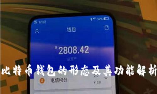 比特币钱包的形态及其功能解析