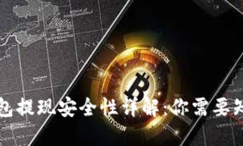 比特币钱包提现安全性详解：你需要知道的几点