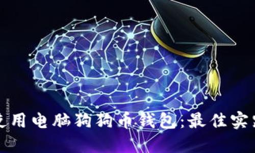 如何选择和使用电脑狗狗币钱包：最佳实践与安全指南