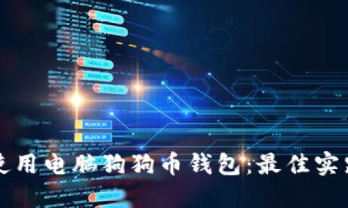 如何选择和使用电脑狗狗币钱包：最佳实践与安全指南