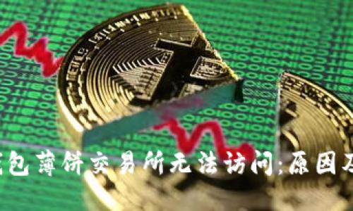 思考且的

优质 TP钱包薄饼交易所无法访问：原因及解决方案