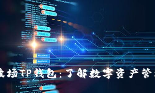 马秀花波场TP钱包：了解数字资产管理的利器