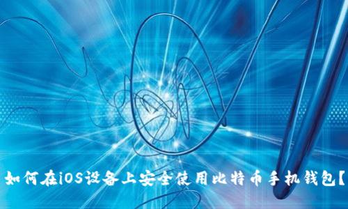 如何在iOS设备上安全使用比特币手机钱包？