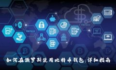 如何在俄罗斯使用比特币钱包：详细指南