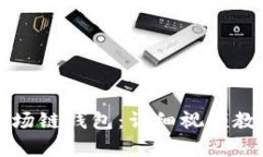 如何创建TP波场链钱包：详细视频教程与步骤解析