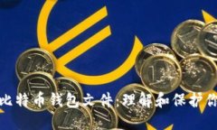 如何安全管理比特币钱包文件：理解和保护你的