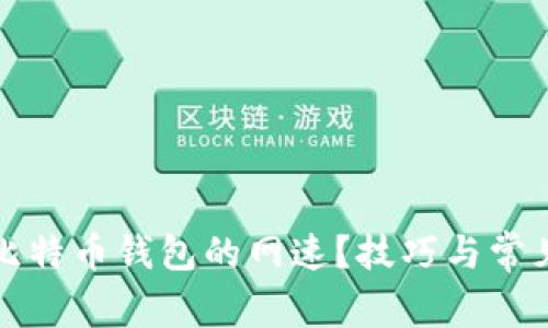 如何提高比特币钱包的网速？技巧与常见问题解答