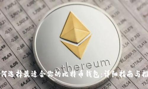如何选择最适合你的比特币钱包：详细指南与推荐