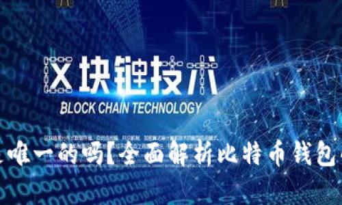 比特币钱包是唯一的吗？全面解析比特币钱包的类型与特性