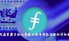 如何在苹果手机上开通比特币钱包功能的详细指