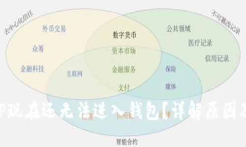 的优质

为什么XRP现在还无法进入钱包？详解原因及解决方案
