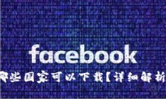 t p钱包在哪些国家可以下载？详细解析及使用指