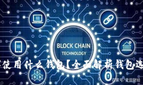 泰达币（USDT）使用什么钱包？全面解析钱包选择及使用指南