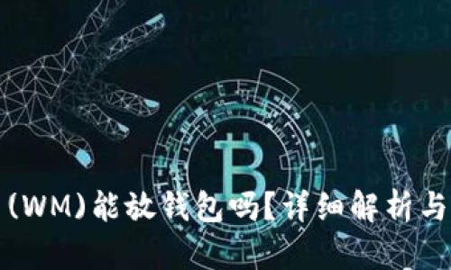 优质屎币(WM)能放钱包吗？详细解析与安全指南