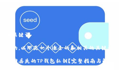 思考和关键词

为了你的，以下是一个适合的和相关的关键词：

如何找回丢失的TP钱包私钥？完整指南与解决方案