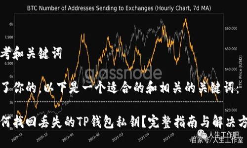 思考和关键词

为了你的，以下是一个适合的和相关的关键词：

如何找回丢失的TP钱包私钥？完整指南与解决方案