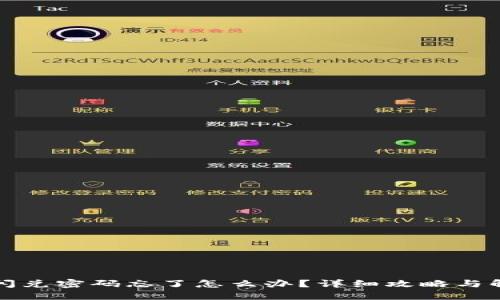 TP钱包闪兑密码忘了怎么办？详细攻略与解决方案