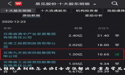 : TP钱包转账未到账怎么办？全方位解决方案与常见问题解析