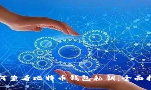 如何查看比特币钱包私钥：全面指南