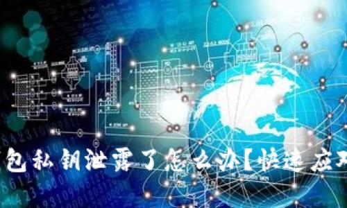 t p钱包私钥泄露了怎么办？快速应对指南