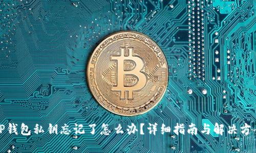 TP钱包私钥忘记了怎么办？详细指南与解决方案